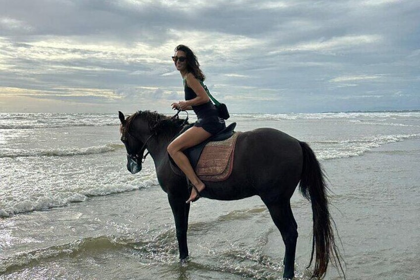 Experience Horse Riding with Luxury Spa 