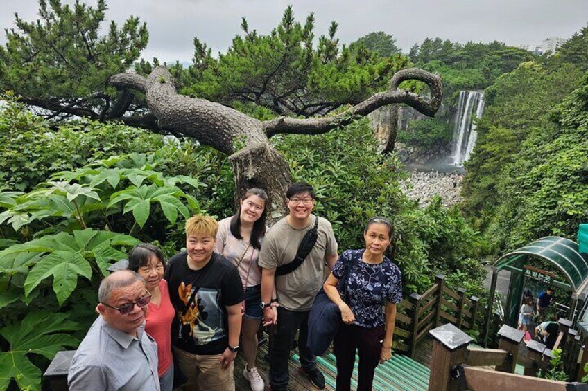 Private Taxi Tour in Jeju and Jeongbang Waterfall