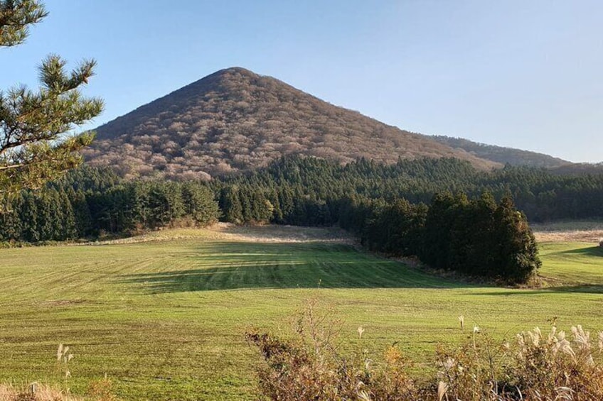 Jeju Mt. Hallasan hiking or Oreum Volcanic Cone Day TOUR