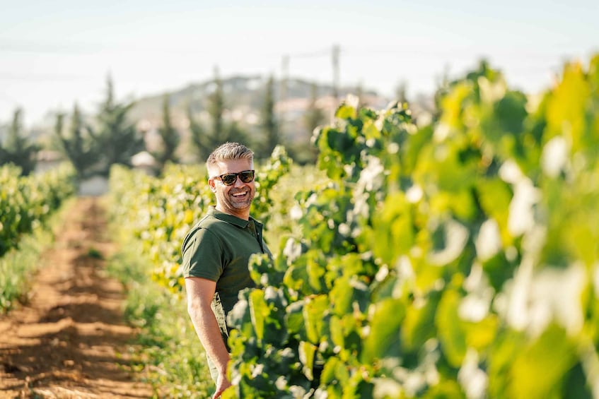 Picture 3 for Activity Silves: Algarve Vineyard Tour with Premium Wine Tasting