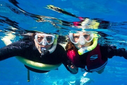 Two Stop Snorkel Adventure from Maui