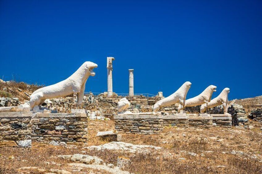 Full day cruise to Delos& Rhenia islands with Lunch& free Drinks