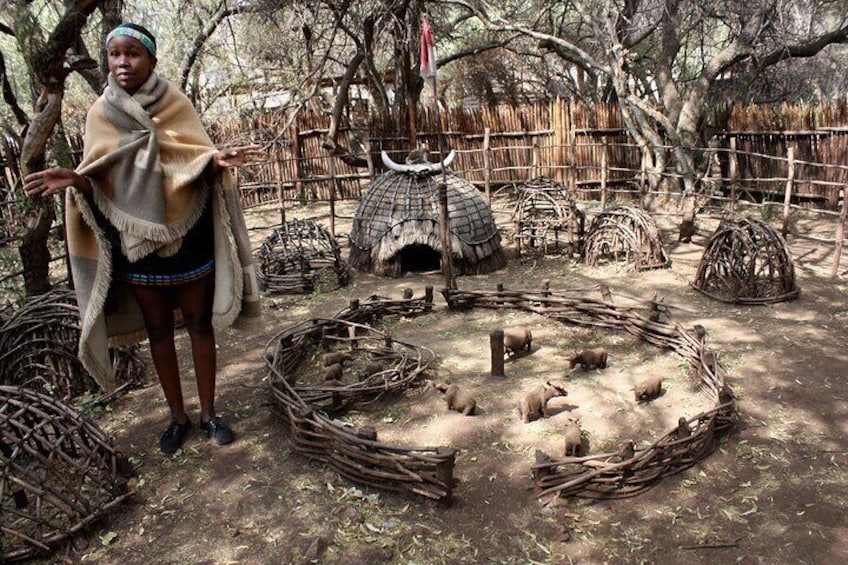 Half Day Tour in Lesedi Cultural Village in Johannesburg