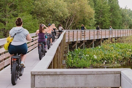 Safety Harbour Hidden Trails Guided E-Bike Adventure with Dessert
