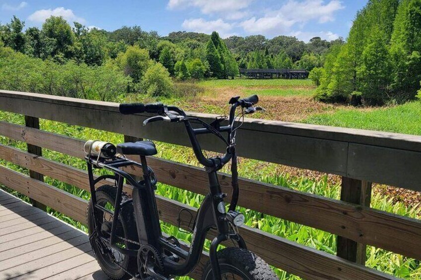 Safety Harbor Hidden Trails and History Tour