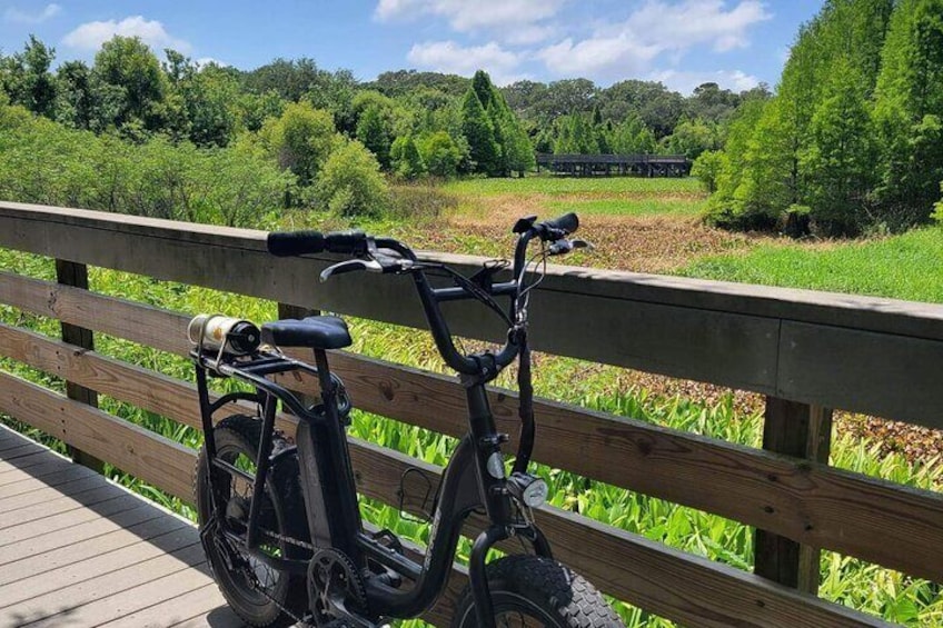 Safety Harbor Hidden Trails and History Tour