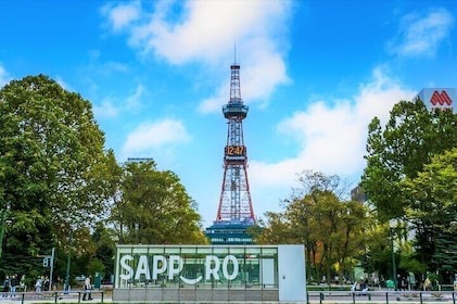 Sapporo Afternoon Walking Tour 2h 30mins