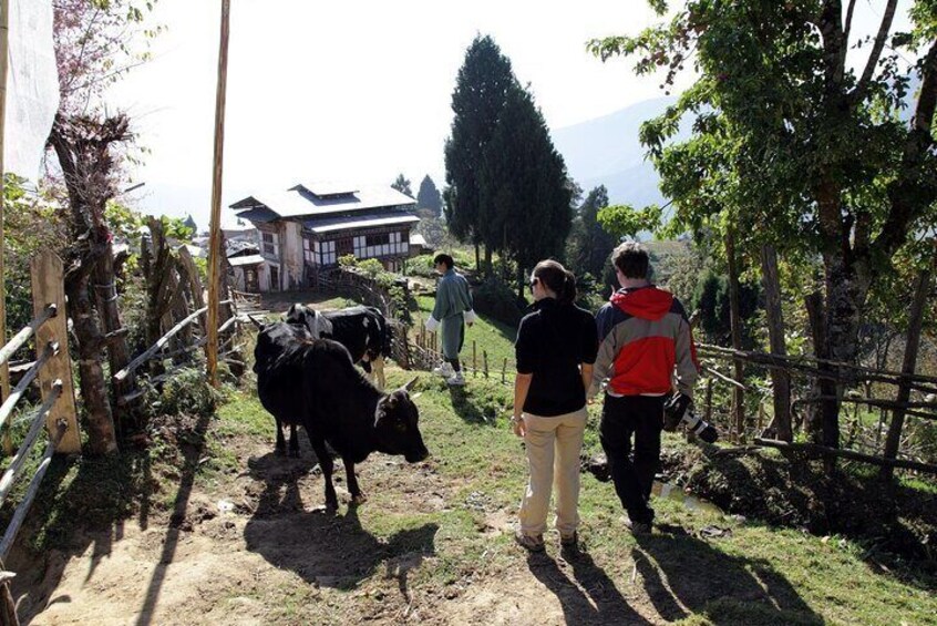 Private 5-Day Tour by Trans-Bhutan Trail in Paro