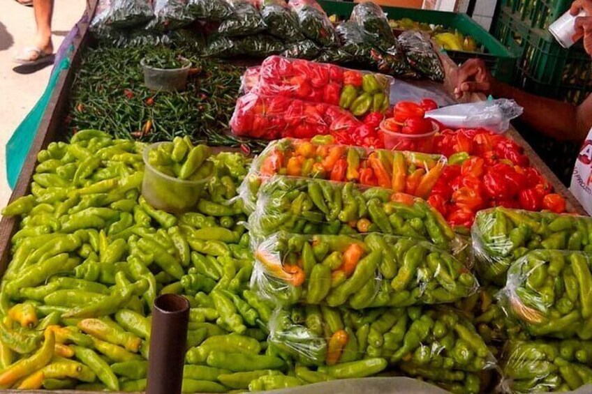 Typical peppers of the Brazil.