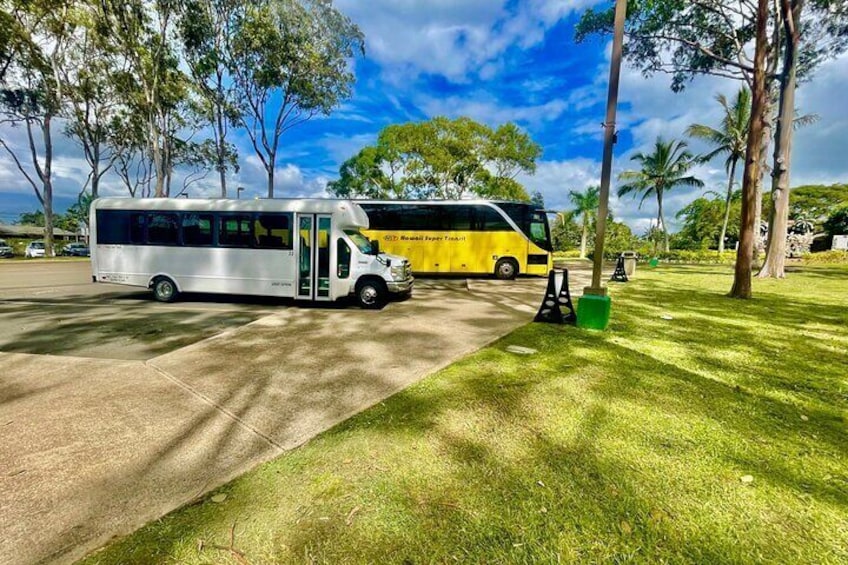 Roundtrip Shuttle From Waikiki to Dole Plantation & Haleiwa Town 