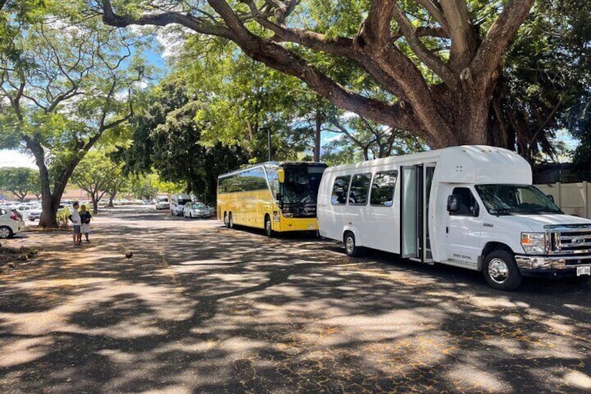 Self-Guided Tour from Waikiki to Dole Plantation Haleiwa Town 