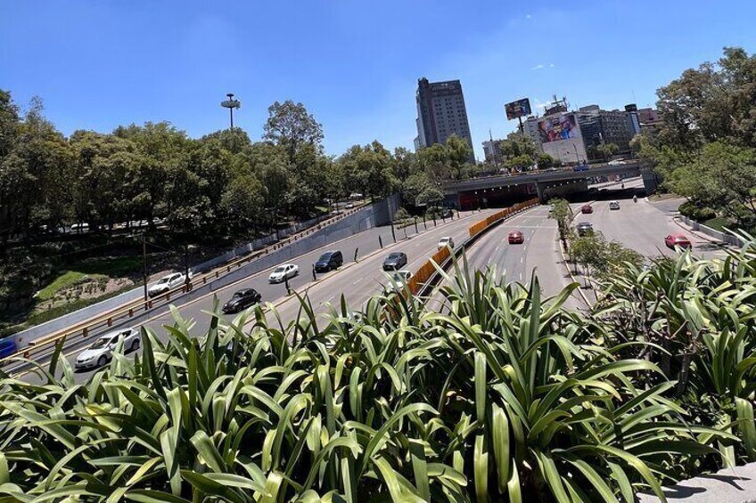 Half Day Tour Visit of Chapultepec Casttle and outdoors