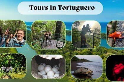 Tours in Tortuguero