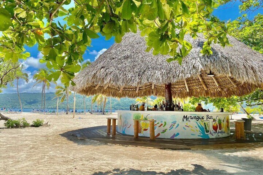 Full Day Tour to Samana from Punta Cana