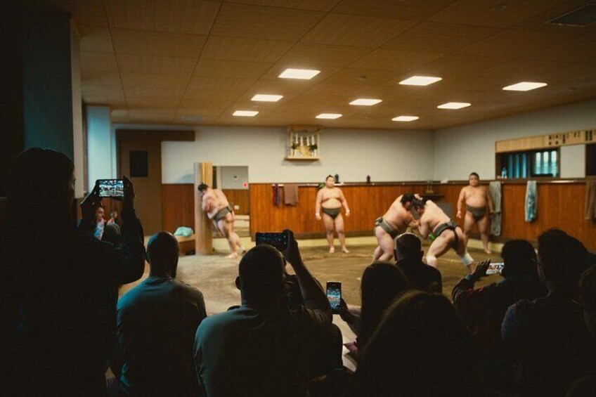Sumo Morning Practice Tour in Tokyo, Sumida City