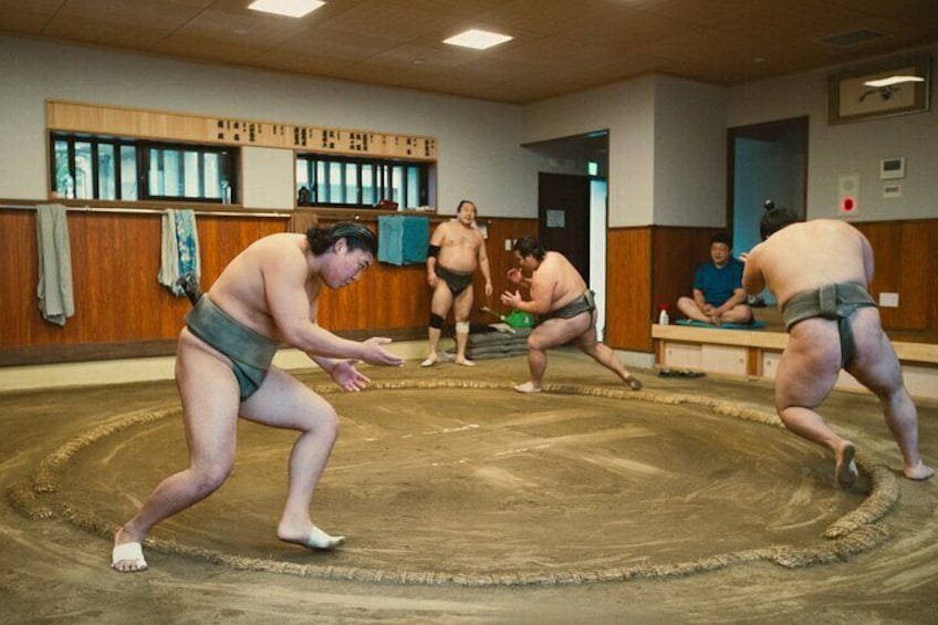 Sumo Morning Practice Tour in Tokyo, Sumida City