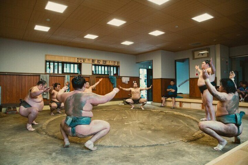Sumo Morning Practice Tour in Tokyo, Sumida City