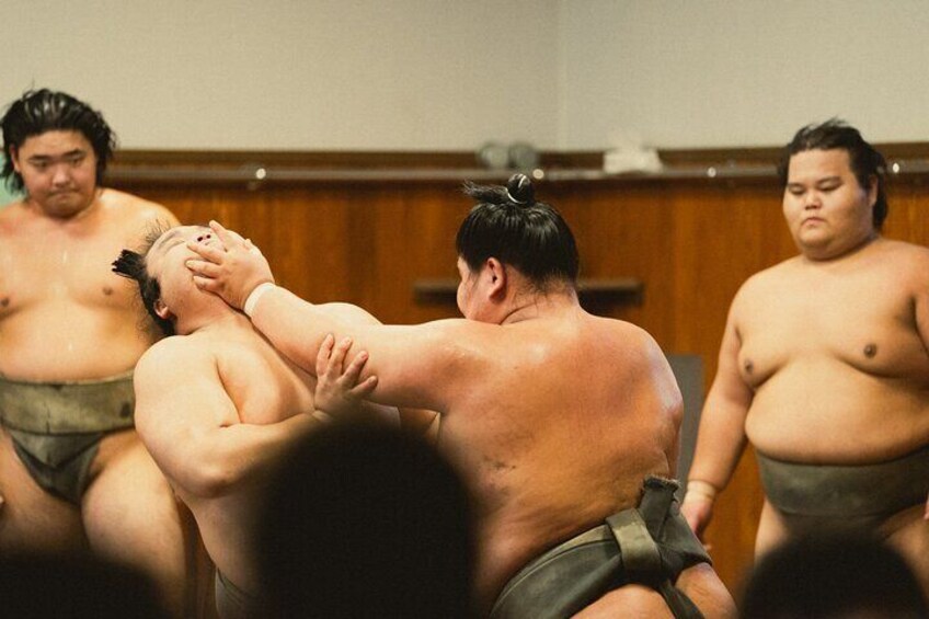 Sumo Morning Practice Tour in Tokyo, Sumida City