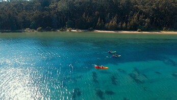 What S On In Batemans Bay 2020 Activities Attractions Tours