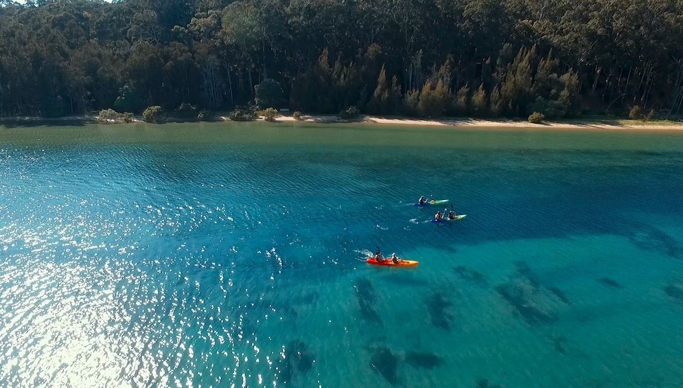 Activity Batemans Bay Glass Bottom Kayak Tour