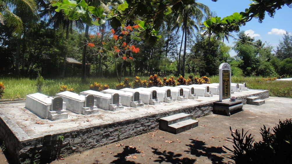 Grave site from the village of My Lai