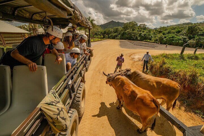 Tour in La Hacienda with Sports Activities and Buffet