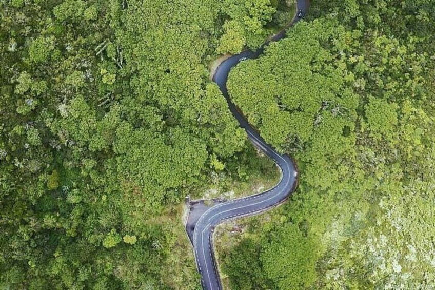 The scenic routes as seen from above (drone picture) . This road is very famous on Mauritian social media for its natural beauties and nature .