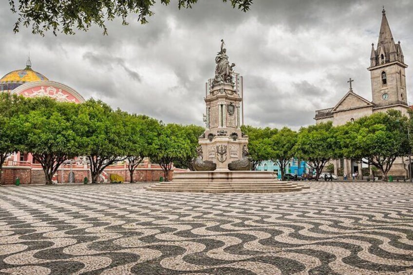 Private Guided Walking Tour in Manaus