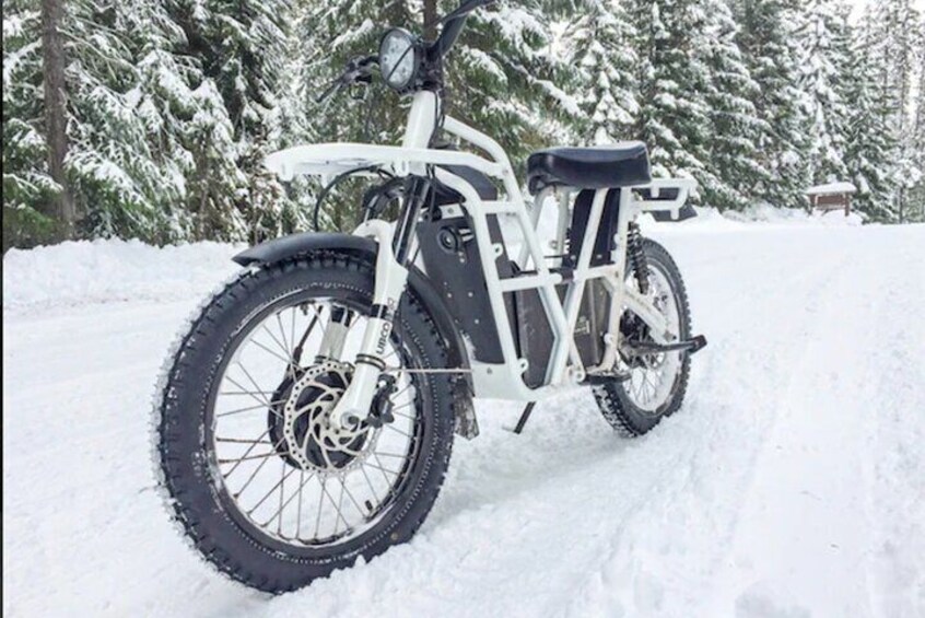 Electric Snow biking with Tahoe Outdoor Adventures!