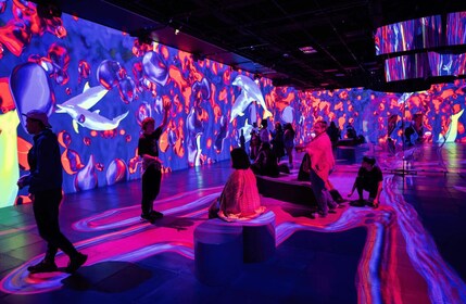 Montreal: OASIS Immersion Eintrittskarte