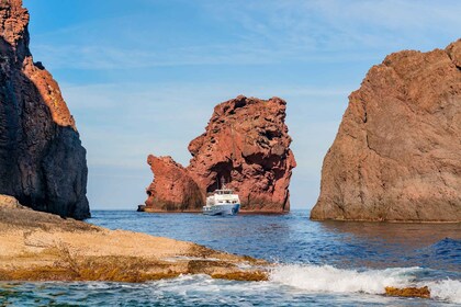 Desde Oporto: recorrido en barco por Scandola y Girolata