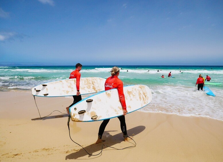 Picture 1 for Activity Learn to Surf in the north of Fuerteventura!