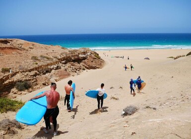 Corralejo: Beginnerscursus surfen 1 of 3 dagen