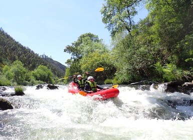 From Porto: Paiva River Canoe Rafting Adventure Tour