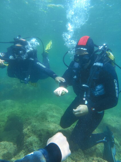 Picture 2 for Activity Try Dive - The best scubadiving experience at Sesimbra