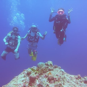 嘗試潛水 - 塞辛布拉的最佳水肺潛水體驗
