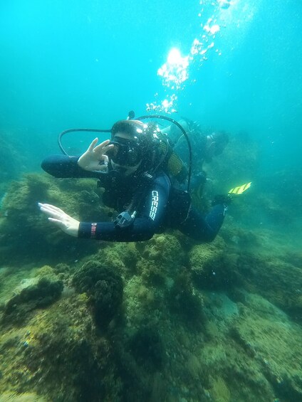 Picture 1 for Activity Try Dive - The best scubadiving experience at Sesimbra