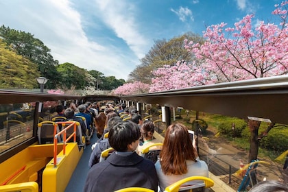 Tokyo: Sightseeingbuss med åpen topp og audioguide