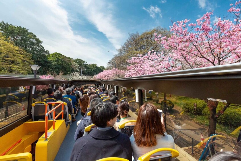 Tokyo: Open Top Sightseeing Bus with Audio Guide