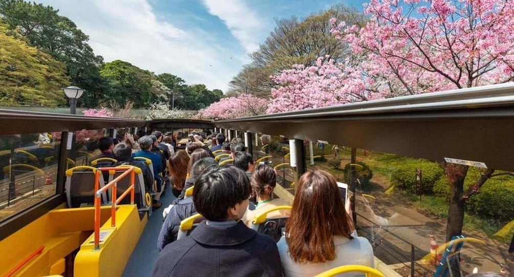 Tokyo: Open-Top Sightseeing Bus with Audio Guide