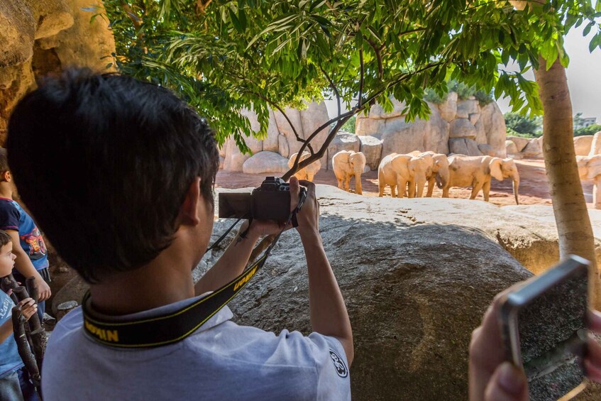 Picture 7 for Activity Valencia: Bioparc Valencia Admission Ticket