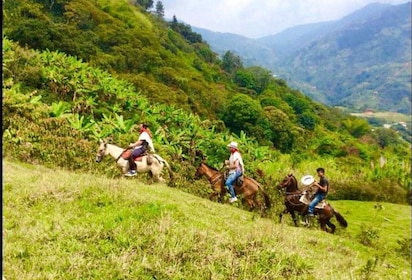 Medellín: authentieke Colombiaanse rit te paard