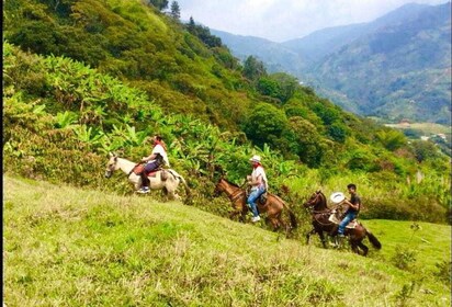 Medellín: balade à cheval colombienne authentique