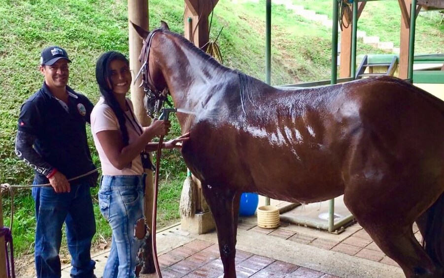 Picture 1 for Activity Medellín: Authentic Colombian Horseback Ride