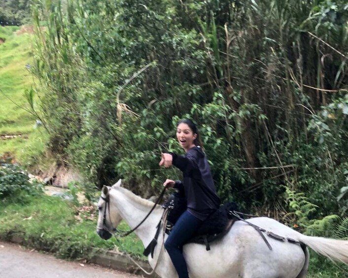 Picture 7 for Activity Medellín: Authentic Colombian Horseback Ride