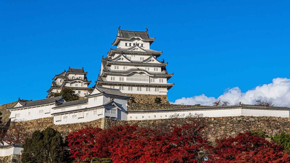 Osaka: Himeji Castle, Arima Onsen & Mt. Rokko 1-Day Bus Tour