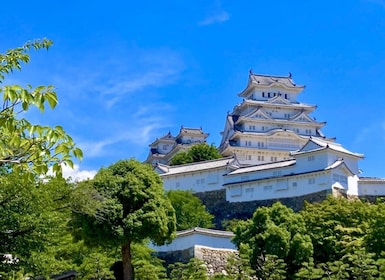 Osaka: Himeji Castle, Arima Onsen & Mt. Rokko 1-Day Bus Tour