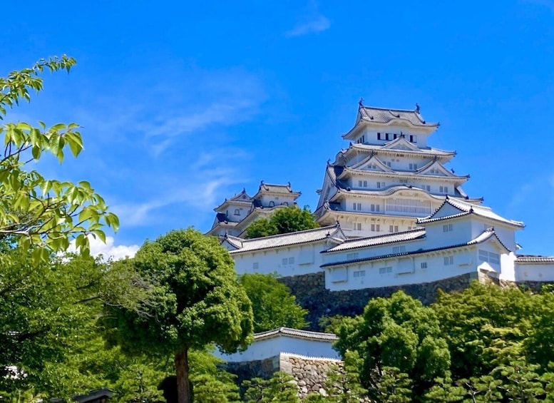 Osaka: Himeji Castle, Arima Onsen & Mt. Rokko 1-Day Bus Tour