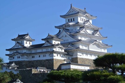 Osaka : Château de Himeji, Arima Onsen et Mt. Rokko 1-Day excursion en bus