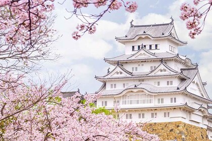 Osaka: Kastil Himeji, Arima Onsen & Tur Bus 1 Hari di Gunung Rokko